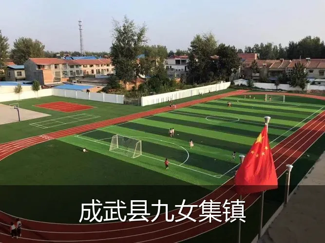 成武县九女集镇
