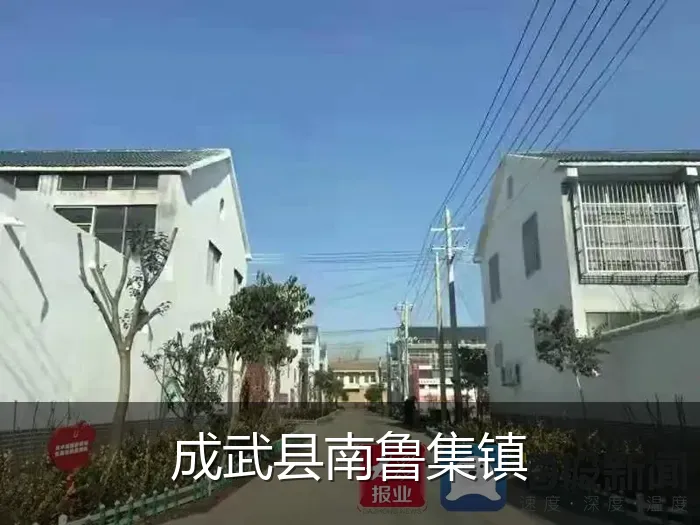成武县南鲁集镇