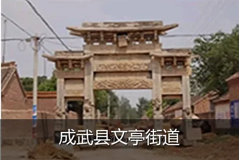 成武县文亭街道