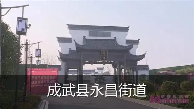 成武县永昌街道