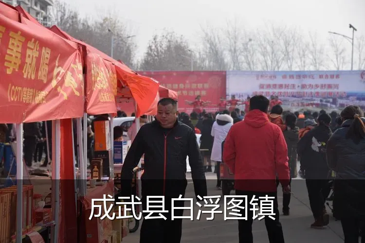 成武县白浮图镇